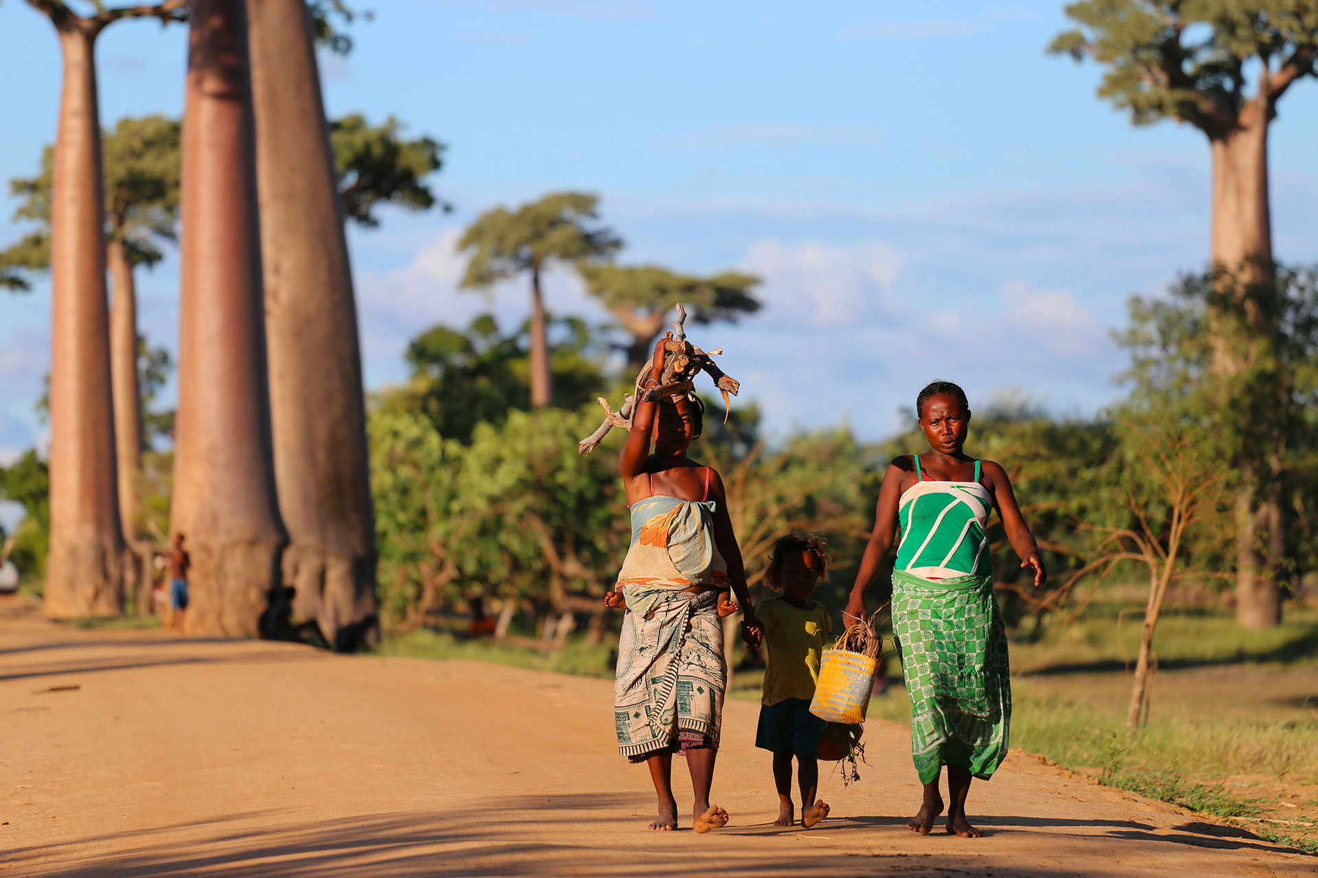 Allée des Baobabs